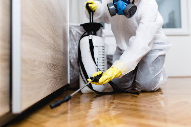 Best Affordable Exterminators  in Hart, MI
