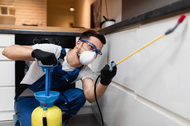 Best Wasp Removal Services  in Hart, MI