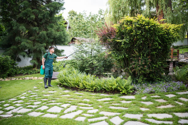 Best Affordable Pest Control Services  in Hart, MI