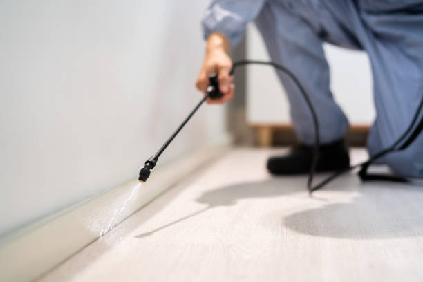 Best Best Pest Control Companies  in Hart, MI