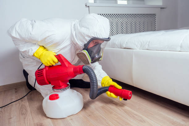 Best Insect Control  in Hart, MI