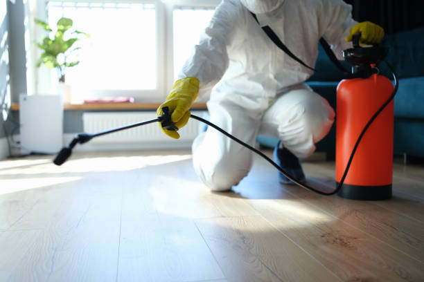 Best Pest Removal Services  in Hart, MI