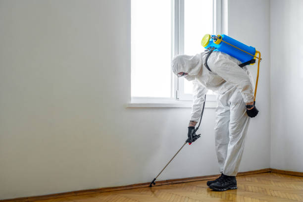 Best Exterminator Services  in Hart, MI