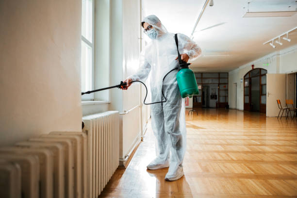 Best Flea Control Services  in Hart, MI