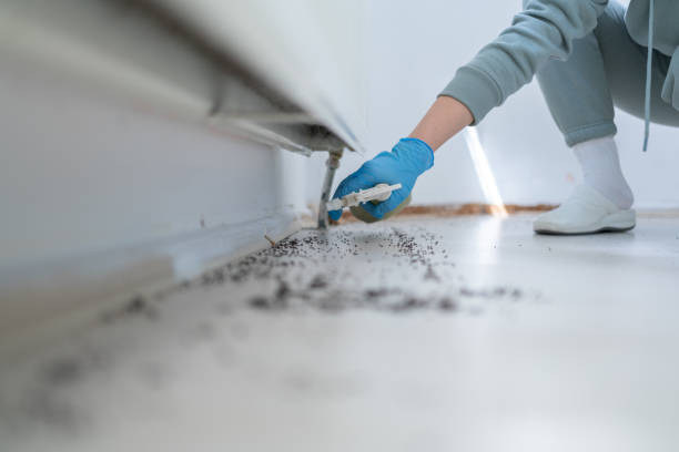 Best Wildlife Control Services  in Hart, MI
