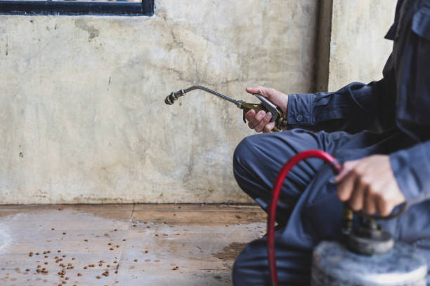 Best Best Pest Control Companies  in Hart, MI