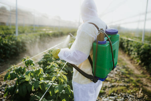 Best Insect Control  in Hart, MI